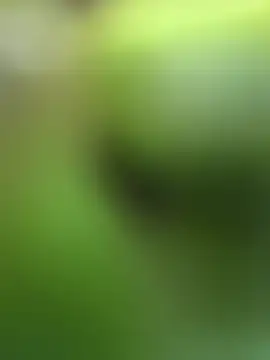 Snapshot of Lynly_k2 chatting on 02-13-26, 05:29 Lynly k2 online show from 02-13-26, 05:29