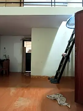 Snapshot of Lynly_k2 chatting on 03-11-26, 01:10 Lynly k2 online show from 03-11-26, 01:10