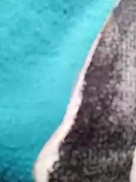 Lynn-122 online show from 03-06-26, 03:23