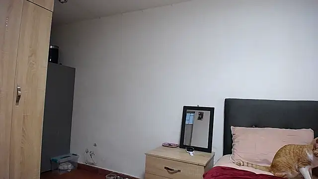  Pariiss online show from 03-13-26, 08:14