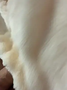 Kyser91 online show from 03-16-26, 11:07