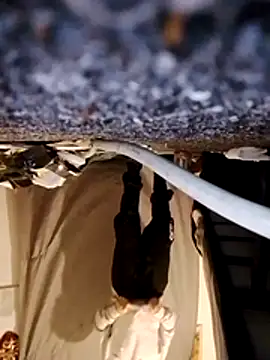 WeakDegree76 online show from 01-10-26, 06:58