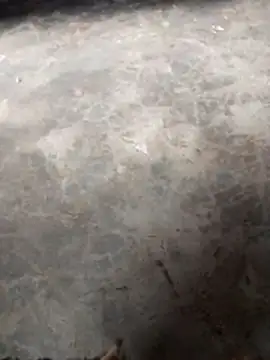 WillfulVideo online show from 11-12-25, 10:41