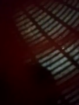 WillfulVideo online show from 11-14-25, 04:54