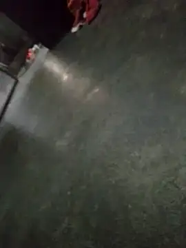 WillfulVideo online show from 11-13-25, 09:57