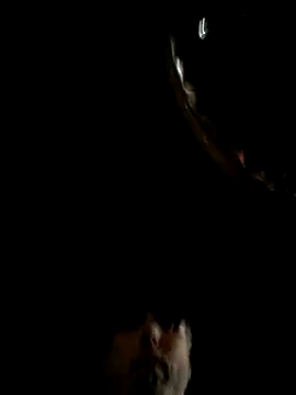 throbbbyxh online show from 12-22-25, 02:22