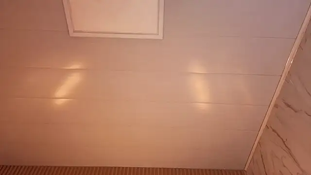 venus velvet tp online show from 01-05-26, 05:27