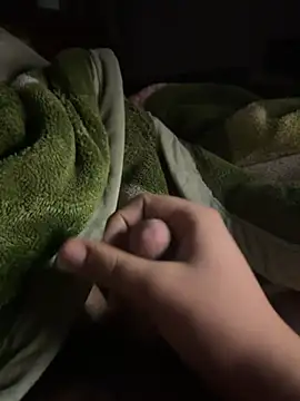 Snapshot of VavEBig chatting on 11-11-25, 11:20 VavEBig online show from 11-11-25, 11:20