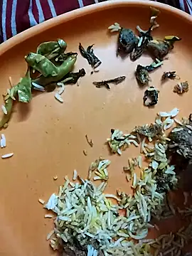 hyderabad single online show from 03-21-26, 05:50