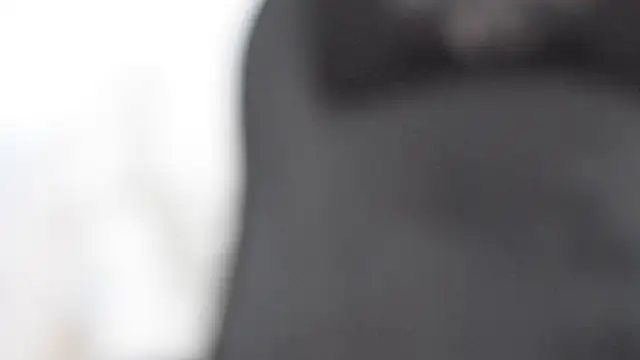 sexywarrior  online show from 01-09-26, 08:43