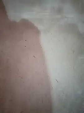 blonde blg online show from 12-20-25, 12:46