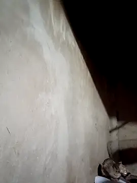 Snapshot of blonde_blg chatting on 03-17-26, 04:48 blonde blg online show from 03-17-26, 04:48