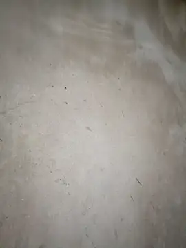 Snapshot of blonde_blg chatting on 03-14-26, 11:33 blonde blg online show from 03-14-26, 11:33