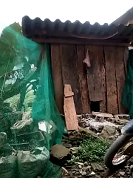 Snapshot of blonde_blg chatting on 03-26-26, 11:24 blonde blg online show from 03-26-26, 11:24