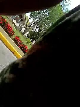 MonasticCanine online show from 01-10-26, 04:13