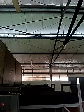 MonasticCanine online show from 11-26-25, 11:32