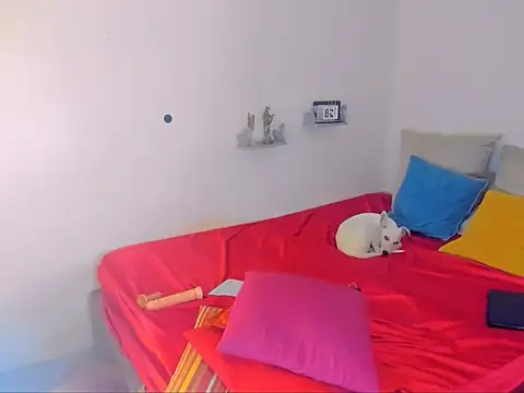 hotcassy online show from 02-25-26, 09:58