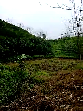 Cloud-wh online show from 03-05-26, 12:40