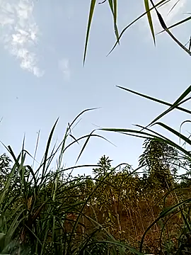 -Chua-90 online show from 02-21-26, 10:17