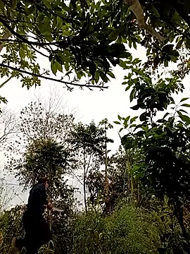 -Chua-90 online show from 02-25-26, 10:37