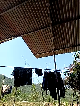 -Chua-90 online show from 03-01-26, 03:17