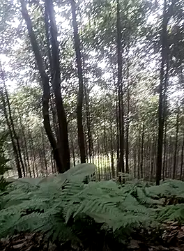 thuy-kieu online show from 01-09-26, 01:56