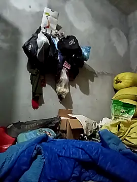 vangkt-cute online show from 11-27-25, 06:41