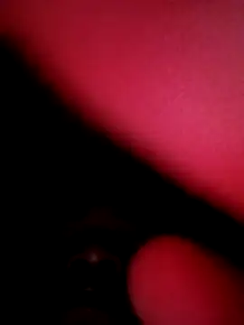 indiandesicpl2026 online show from 11-24-25, 09:04