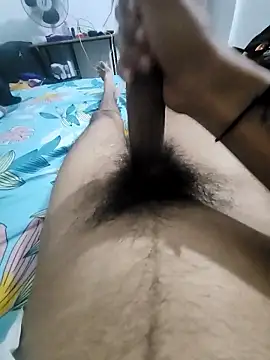 Noxvorlen online show from 11-14-25, 08:01