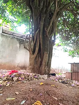 Lucasjandre online show from 11-22-25, 10:14