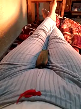 Tota sexi online show from 12-04-25, 11:31