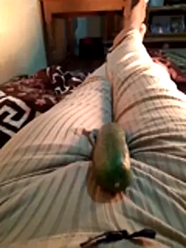 Tota sexi online show from 11-28-25, 10:48