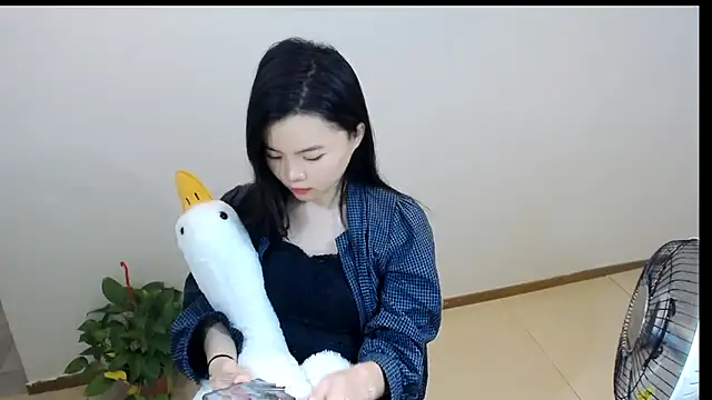 Shaurk online show from 02-23-26, 02:57