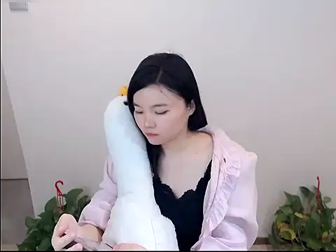 Shaurk online show from 01-19-26, 08:18