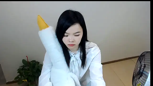 Shaurk online show from 02-24-26, 02:45