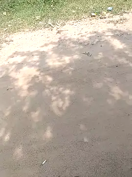 Snapshot of summa_renu chatting on 11-15-25, 05:33 summa renu online show from 11-15-25, 05:33