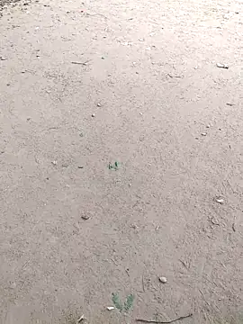 Snapshot of summa_renu chatting on 11-14-25, 07:23 summa renu online show from 11-14-25, 07:23