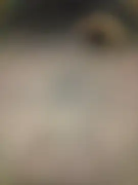 piggylatino online show from 02-02-26, 06:01