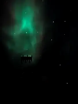 arcacsel online show from 11-24-25, 10:54