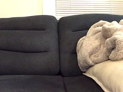 Snapshot of ch31285 chatting on 02-06-26, 12:06 ch31285 online show from 02-06-26, 12:06