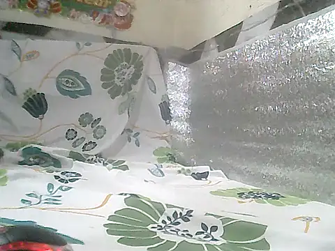 loriepinay46 online show from 01-08-26, 12:44