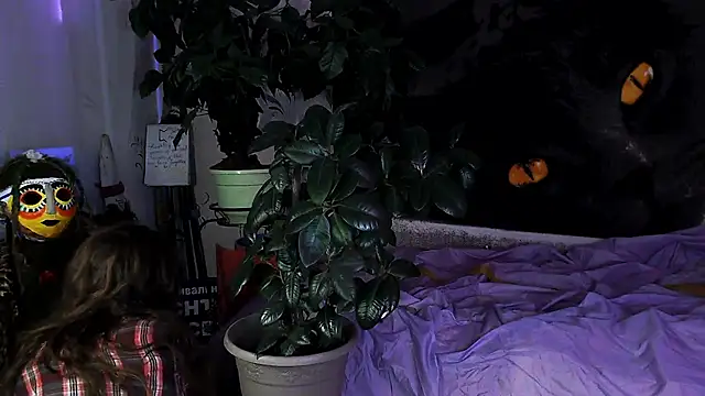 Personal Bulldozer online show from 12-01-25, 01:34