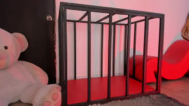 SnakeMuse online show from 12-17-25, 03:44