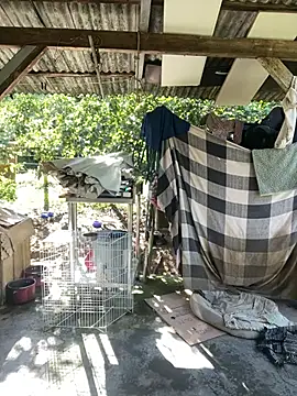 Monahliza online show from 02-11-26, 11:32