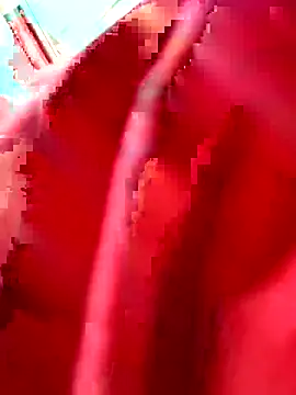 julianlondo111 online show from 02-24-26, 06:53