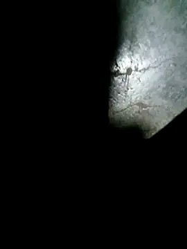 Snapshot of raju423204 chatting on 02-15-26, 01:06 raju423204 online show from 02-15-26, 01:06