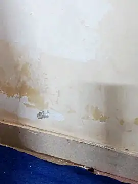 Asha devi90 online show from 04-12-26, 03:59