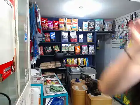 eva rushh online show from 11-24-25, 04:18