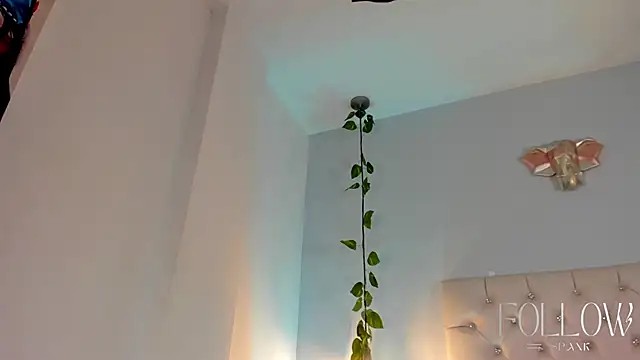 GabrielaSuarez  online show from 05-13-26, 07:54