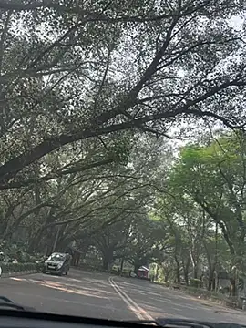 sexyayeshadesi online show from 11-20-25, 05:30